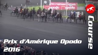 Prix dAmérique Opodo 2016  La Course Bold Eagle triomphe [upl. by Eldwin]