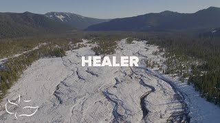 Healer  Maranatha Music Lyric Video [upl. by Freddy]