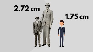 Height COMPARISON Tallest people in the WORLD [upl. by Hook]