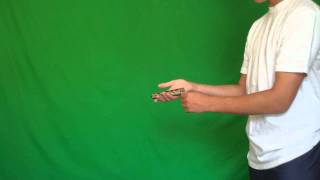 Balisong Tutorial Reverse Grip Aerial Beginner [upl. by Dorreg]