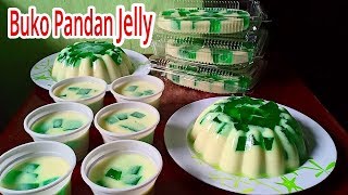 Buko Pandan Jelly  Buko Pandan Gulaman [upl. by Ahsoek6]