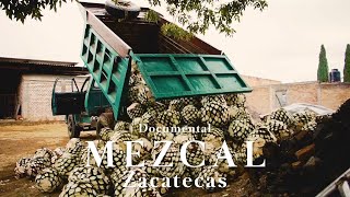 DOCUMENTAL del MEZCAL en ZACATECAS  Mezcal Derrumbes  Chemyta78 [upl. by Arekat275]