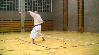 Kata Lexikon  Heian Shodan  langsam [upl. by Ardiek]