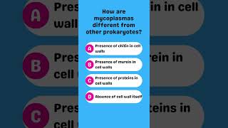 How are mycoplasmas different from other prokaryotes [upl. by Clayborne]