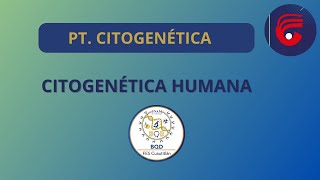 PT CITOGENÉTICA HUMANA [upl. by Cestar]