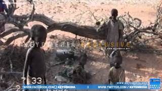 Famine Hits Somalia 1990s  Somali Civil War [upl. by Arateehc]