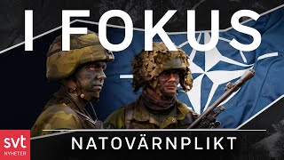 Så påverkas svenska soldater av Nato  SVT Nyheter [upl. by Purpura71]