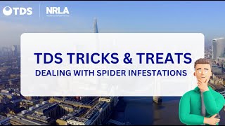 TDS tricks and treats to help tackle spider infestations in rented homes [upl. by Onek115]