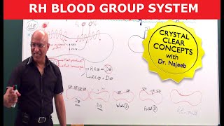 Rh Blood Group System  Dr Najeeb [upl. by Aikmat]