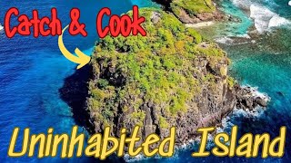 Tropical Island spearfishing catch and cook travel nature caribbean [upl. by Craw]