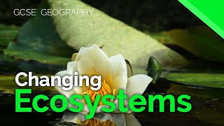 Changes in ecosystems  AQA GCSE 91 Geography [upl. by Oratnek]