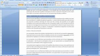 Outil Pinceau  Mise en forme simplifié de documents sur WORD 2007 [upl. by Chappy]