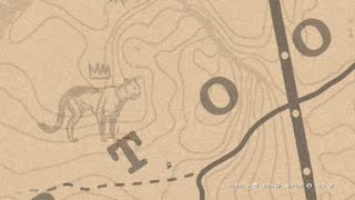 Red Dead Redemption 2 Legendary Cougar Location [upl. by Reinhart472]