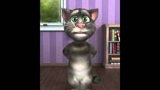 Talking Tom cat mi pollito amarillito [upl. by Goodman]