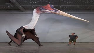 Amazing Facts About the Giant Pterosaur Quetzalcoatlus [upl. by Padriac]