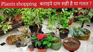 मेरे इन नए पौधों के नाम और दाम New plants collection Nursery plants shopping haul names price [upl. by Suolhcin]