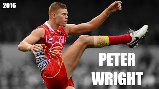 Peter Wright 2016 Highlight Reel [upl. by Asirralc466]