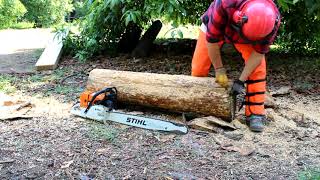 Como divertirse con una motosierra STIHL MS660 MAGNUM [upl. by Madel]