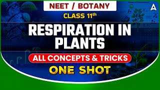 RESPIRATION IN PLANTS CLASS 11 ONE SHOT  NEET 2024  ALL CONCEPTS amp TRICKS  BOTANY BY SANKALP [upl. by Schaumberger]