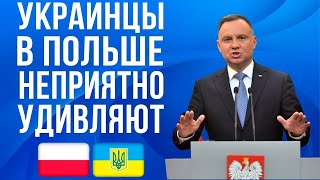 Украинцы ошарашили ДАЖЕ меня Польша НЕПРИЯТНО удивлена [upl. by Willing]