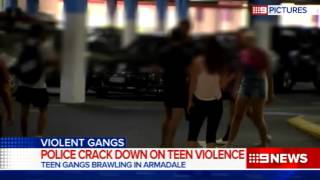 Armadale Brawl  9 News Perth [upl. by Ddene499]