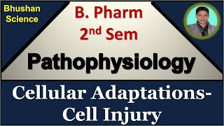 4 Cellular Adaptations Cell Injury  Pathophysiology  B Pharm 2nd Sem  Bhushan Science [upl. by Bethena44]