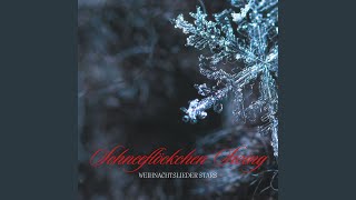 Weihnachtsinstrumentals [upl. by Bernard920]