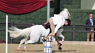 England Pony Club Mounted Games Windsor 2017 [upl. by Einobe]