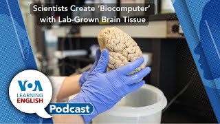 Learning English Podcast  Climate Meetings Brain Biocomputer [upl. by Beitris]