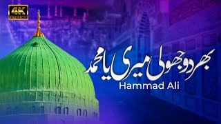 Bhar Do Jholi Meri Ya Muhammad  Hammad Ali [upl. by Yentiw158]