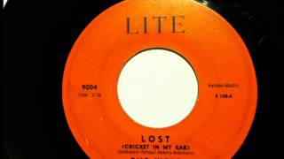 Lost  Cricket In My Ear  The Webs  1962 Vinyl 45RPM [upl. by Croner]