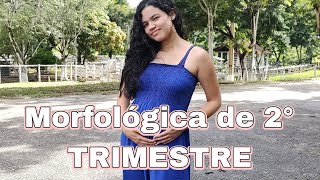 Morfológica de 2° trimestre • Com vídeo da ultrassom [upl. by Epilef]