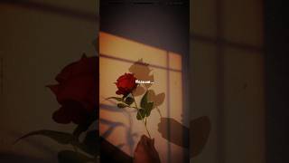 👀Trending song👀 shortsfeed neeyum naanum sernthe vazhum neram song WhatsApp status tamil❤️ [upl. by Eddy]