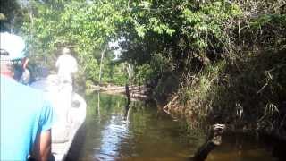 GUYANE  LE SAUT TAKARI TANTE SUR LE HAUTSINNAMARY [upl. by Essyle879]