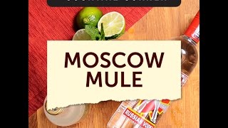 Traditional Moscow Mule Cocktail Recipe [upl. by Ased]