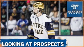 Ranking the New York Islanders Top Prospects Right Now and Analyzing Their Upside [upl. by Gorga270]