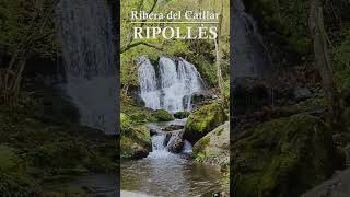 Ribera del Catllar waterfall cascadas bosque rutasdesenderismo pirineus [upl. by Acissehc]