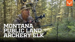 Montana Public Land Archery Elk  On the Hunt with Janis Putelis [upl. by Bennie]