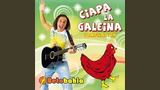 Ciapa la galeina [upl. by Asel]