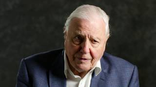 Sir David Attenborough  A message to world leaders [upl. by Nus]