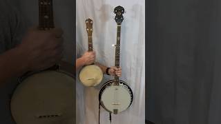 Banjo or Banjo Ukulele [upl. by Fotzsyzrk]