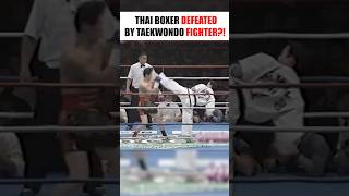 Crazy Fight Between Taekwondo and Muay Thai Fighters🔥 [upl. by Sommers]