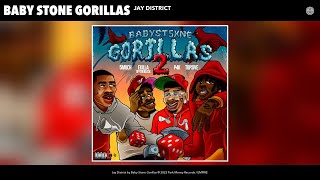 Baby Stone Gorillas  Jay District Official Audio [upl. by Ahsatsana264]