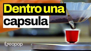 Come si produce il caffè in capsula Vi mostriamo il processo industriale che cè dietro [upl. by Nikal106]