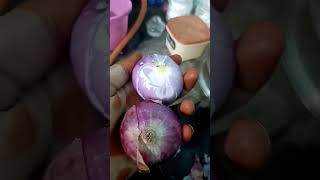 Cabbage Manchurian recipe 🤤🤤😀😋lovesubcribers food ishqyouall [upl. by Norine380]