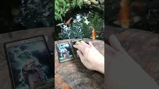 Bạn sắp phải đưa ra 1 quyết định quan trọng trong tình yêu thienantarot tarot tarotreading [upl. by Mata157]