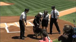 20120513 Cpl Leavey and Sgt Rex honored [upl. by Dacey928]