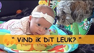 1STE X OP SPEELKLEED 😍 met WOEZEL🐶amp PiP🐶  Bellinga Familie Vlog 944 [upl. by Nnaeirb]