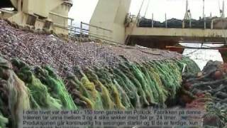 FISHING TRAWLING BIG BAG UNDERWATER [upl. by Isoais]