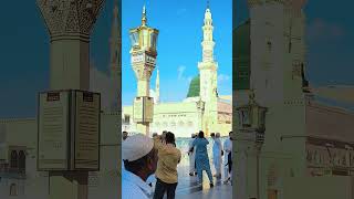 Jo Tal data ha myskilo ko Mary nabi ka name asa ha foryou love shortvideos madina madinah [upl. by Trik33]